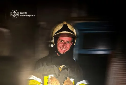 У селі Лісове на Золочівщині рятувальники загасили пожежу та врятували двох кошенят