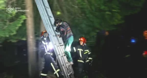 У Львові рятувальники зняли жінку з котом з дерева на вул.