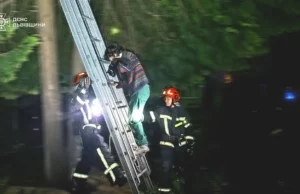 У Львові рятувальники зняли жінку з котом з дерева на вул. Карпатській У Львові рятувальники зняли жінку з котом з дерева на вул.