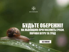 На Львівщині 3 липня очікують грози, град і сильний вітер На Львівщині 3 липня очікують грози, град і сильний вітер