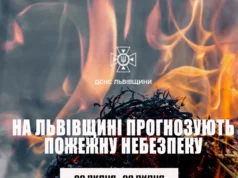 На Львівщині оголосили надзвичайну пожежну небезпеку 5 класу