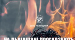 На Львівщині оголосили надзвичайну пожежну небезпеку 5 класу