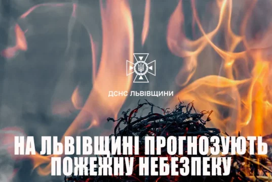 На Львівщині оголосили надзвичайну пожежну небезпеку 5 класу