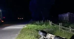 У Верхній Яблуньці на Самбірщині в ДТП загинув водій квадроцикла