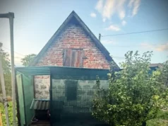 У Львові чоловік смертельно поранив собаку: поліція розслідує жорстоке поводження з тваринами У Львові чоловік смертельно поранив собаку: поліція розслідує жорстоке поводження з тваринами