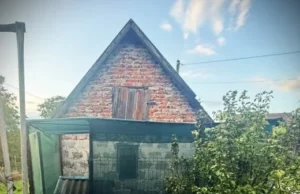 У Львові чоловік смертельно поранив собаку: поліція розслідує жорстоке поводження з тваринами
