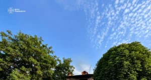 У Шептицькому районі під час пожежі загинули двоє людей