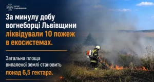 На Львівщині за добу загасили 10 пожеж в екосистемах