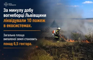 На Львівщині за добу загасили 10 пожеж в екосистемах
