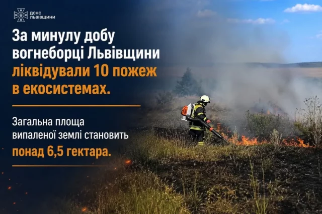 image На Львівщині за добу загасили 10 пожеж в екосистемах