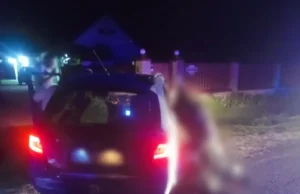 У Стрийському районі загинув 17-річний мотоцикліст, травмована його 14-річна сестра У Стрийському районі загинув 17-річний мотоцикліст, травмована його 14-річна сестра