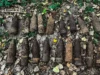 На Львівщині піротехніки знищили 18 боєприпасів часів Другої світової