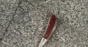 У Львові встановили особу чоловіка з ножем, затриманого під час акції