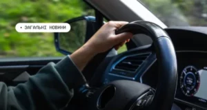 Як ветеранам отримати компенсацію за автоцивілку онлайн