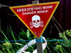 На Львівщині піротехніки ДСНС знищили два артснаряди часів Другої світової війни