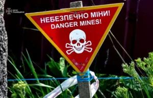 На Львівщині піротехніки ДСНС знищили два артснаряди часів Другої світової війни