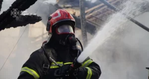 На Львівщині за добу рятувальники загасили 22 пожежі, з них 12 в екосистемах