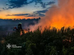 На Львівщині за добу ліквідували 21 пожежу в екосистемах