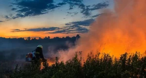 На Львівщині за добу ліквідували 21 пожежу в екосистемах