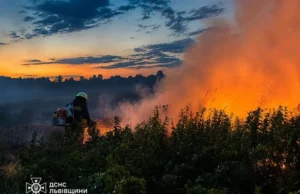 На Львівщині за добу ліквідували 21 пожежу в екосистемах
