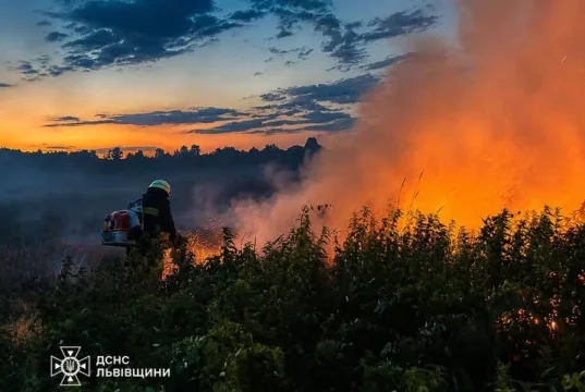 На Львівщині за добу ліквідували 21 пожежу в екосистемах