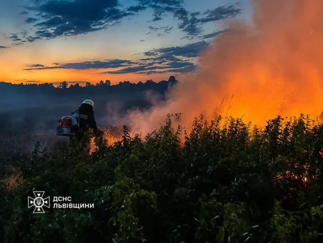 На Львівщині за добу ліквідували 21 пожежу в екосистемах