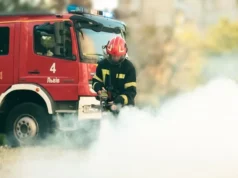 На Львівщині за добу ліквідовано 16 пожеж, з них 10 в екосистемах