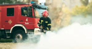 На Львівщині за добу ліквідовано 16 пожеж, з них 10 в екосистемах