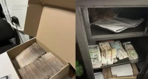 На Львівщині викрили мережу збуту контрафактних вейпів на 55 млн грн