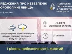 07 липня на Львівщині прогнозують грози та сильний вітер 07 липня на Львівщині прогнозують грози та сильний вітер