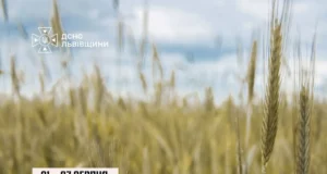 На Львівщині оголосили надзвичайну пожежну небезпеку 5 класу