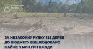 На Стрийщині відшкодовано майже 3 млн грн за незаконну рубку 311 дерев