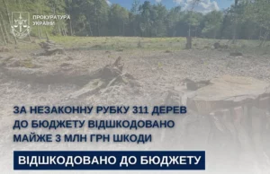 На Стрийщині відшкодовано майже 3 млн грн за незаконну рубку 311 дерев На Стрийщині відшкодовано майже 3 млн грн за незаконну рубку 311 дерев