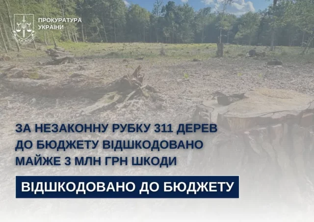 На Стрийщині відшкодовано майже 3 млн грн за незаконну рубку 311 дерев