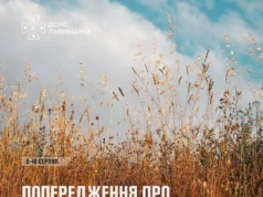 На Львівщині оголосили надзвичайну пожежну небезпеку 8–10 серпня На Львівщині оголосили надзвичайну пожежну небезпеку 8–10 серпня