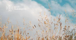 На Львівщині оголосили надзвичайну пожежну небезпеку 8–10 серпня