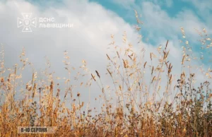 (Українська) На Львівщині оголосили надзвичайну пожежну небезпеку 8–10 серпня На Львівщині оголосили надзвичайну пожежну небезпеку 8–10 серпня