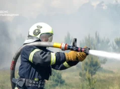 На Львівщині за добу ліквідовано 29 пожеж, більшість — в екосистемах