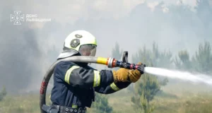 На Львівщині за добу ліквідовано 29 пожеж, більшість — в екосистемах