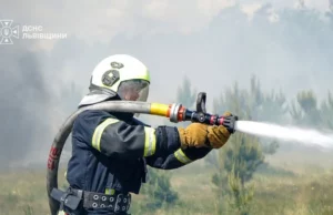 (Українська) На Львівщині за добу ліквідовано 29 пожеж, більшість — в екосистемах На Львівщині за добу ліквідовано 29 пожеж, більшість — в екосистемах