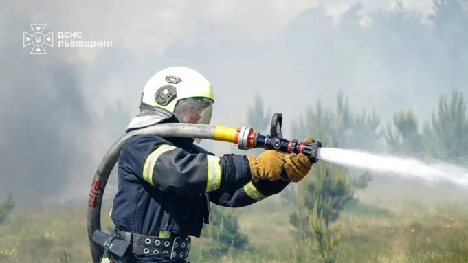 На Львівщині за добу ліквідовано 29 пожеж, більшість — в екосистемах