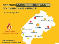 На Львівщині 10–12 серпня очікують високу пожежну небезпеку На Львівщині 10–12 серпня очікують високу пожежну небезпеку