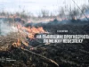 На Львівщині 11–12 серпня оголошено надзвичайну пожежну небезпеку
