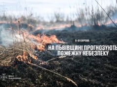 На Львівщині 11–12 серпня оголошено надзвичайну пожежну небезпеку