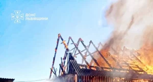 У Великих Мостах вогнеборці врятували житловий будинок і вулики від пожежі