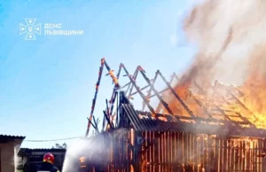 У Великих Мостах вогнеборці врятували житловий будинок і вулики від пожежі