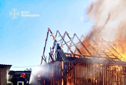 У Великих Мостах вогнеборці врятували житловий будинок і вулики від пожежі