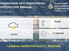 11 серпня на Львівщині прогнозують грози та жовтий рівень небезпеки 11 серпня на Львівщині прогнозують грози та жовтий рівень небезпеки