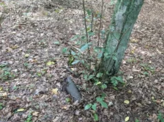 У Львові знищили снаряд і гранату часів Другої світової війни