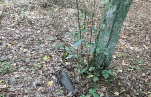 (Українська) У Львові знищили снаряд і гранату часів Другої світової війни У Львові знищили снаряд і гранату часів Другої світової війни